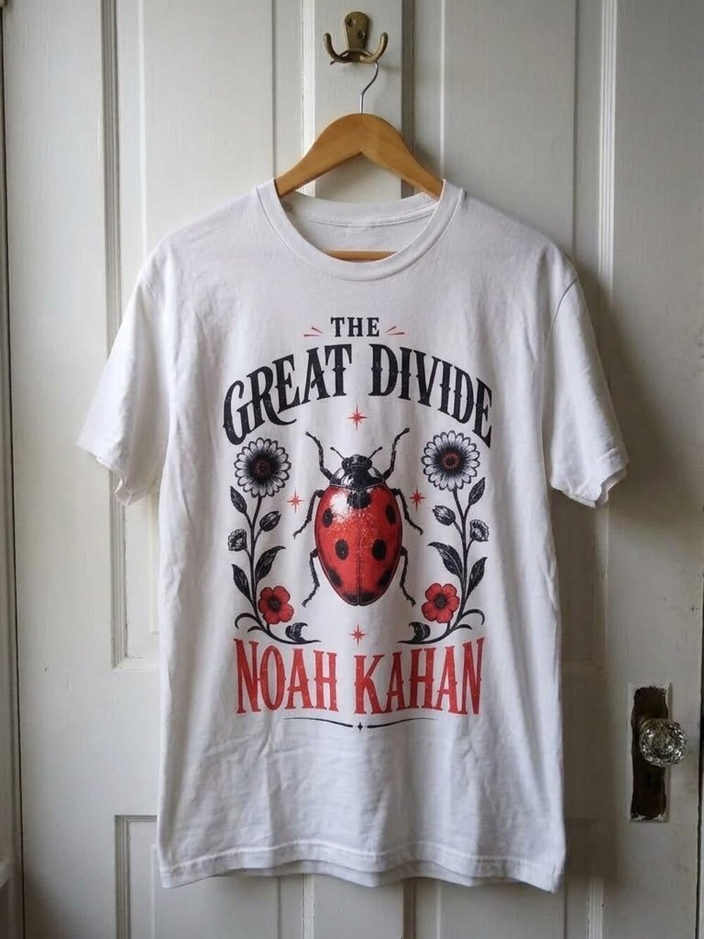 Noah Kahan "The Great Divide I Love NK Ladybug" Tshirt